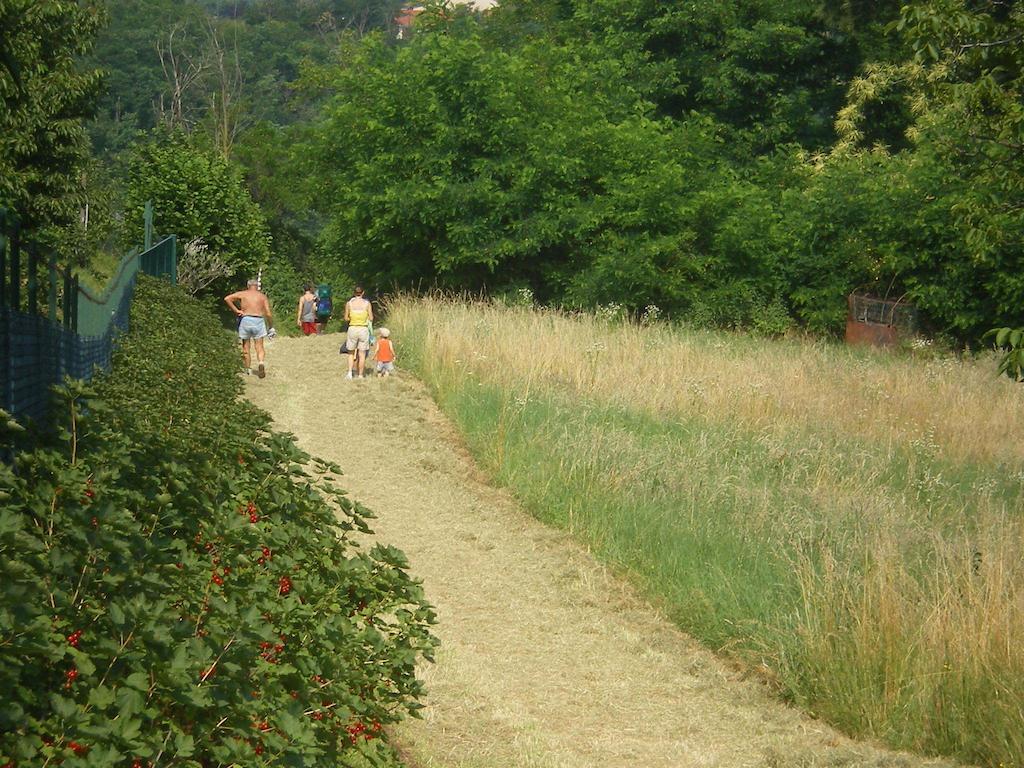 Agroturismo Tenuta Fortelongo Fara Vicentino