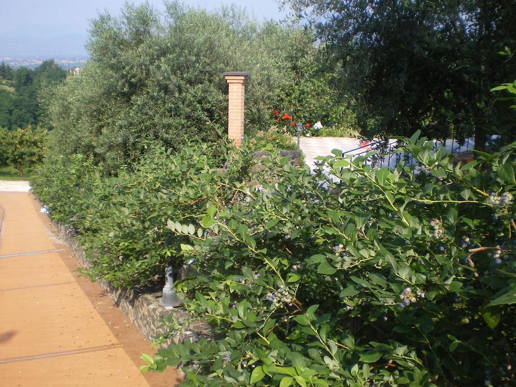 Agroturismo Tenuta Fortelongo