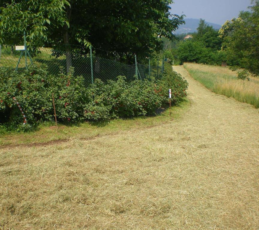 Agroturismo Tenuta Fortelongo