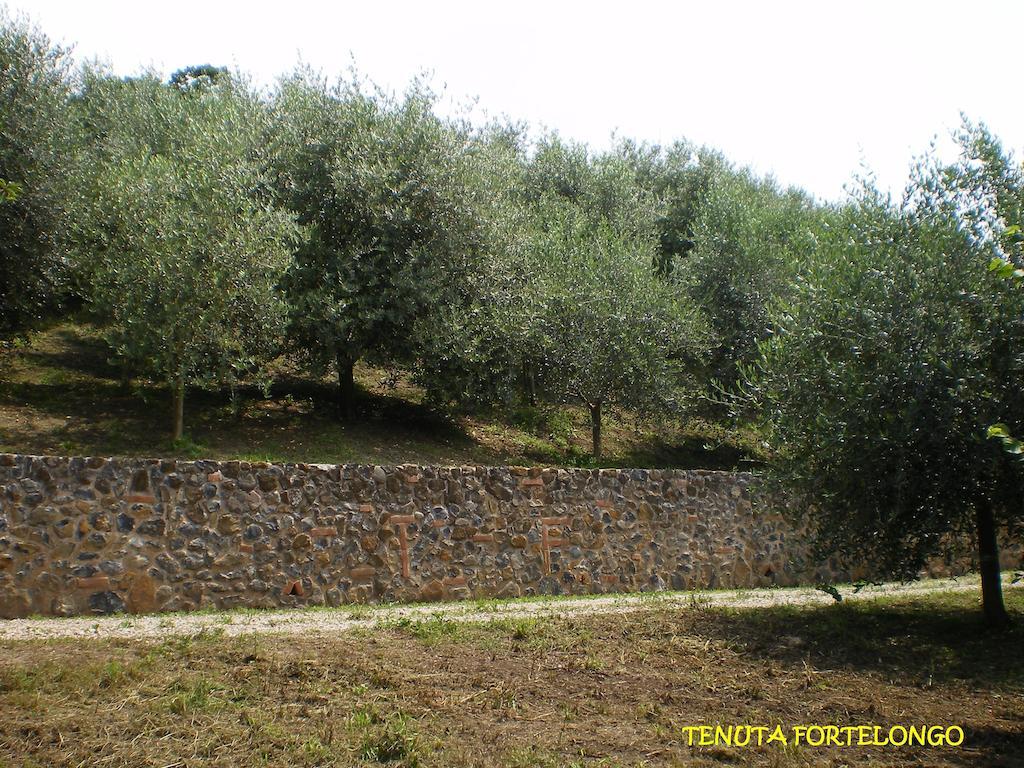 Tenuta Fortelongo Fara Vicentino