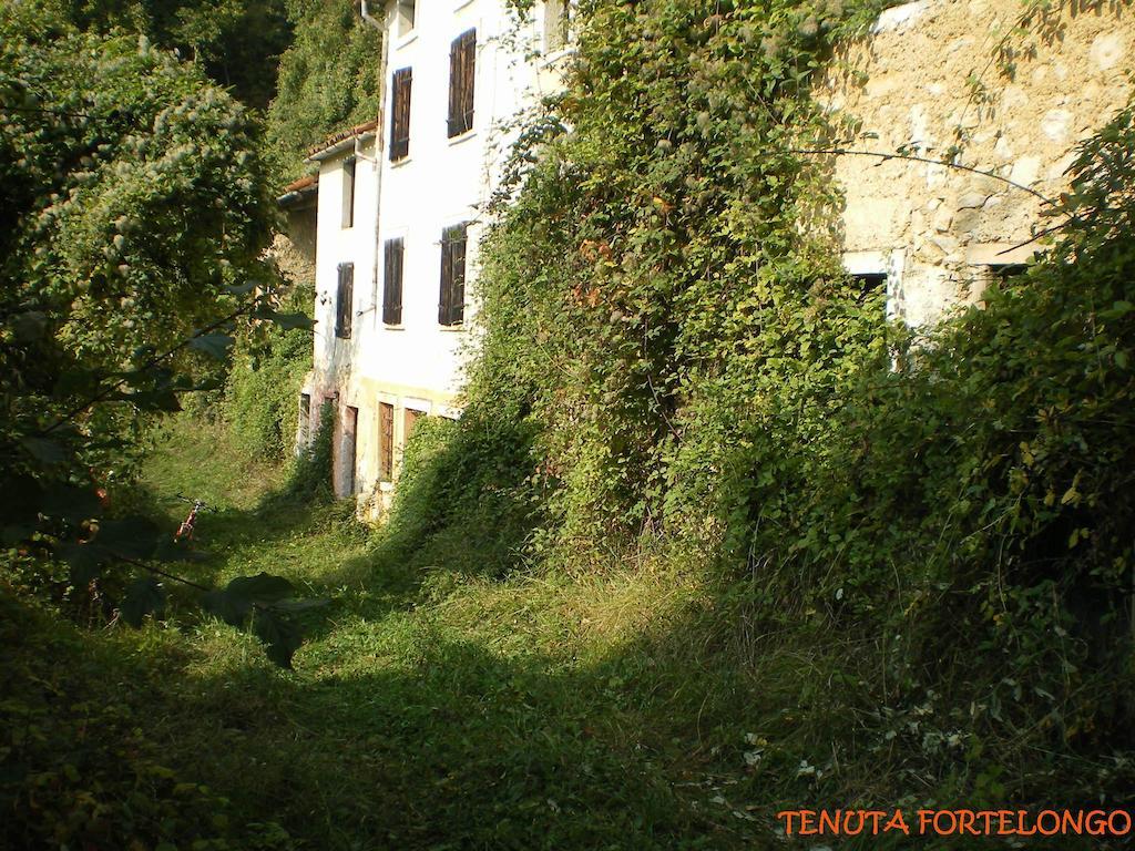 Tenuta Fortelongo