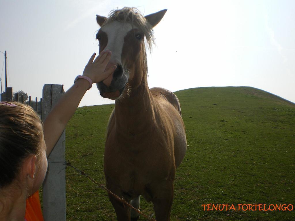 Agroturismo Tenuta Fortelongo *